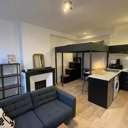 Apartment Charming T1 In The Heart Of Toulouse