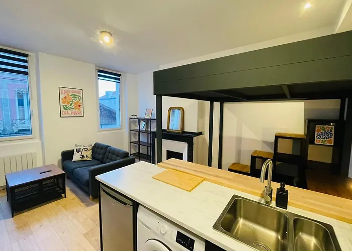 Charming T1 In The Heart Of Apartment *