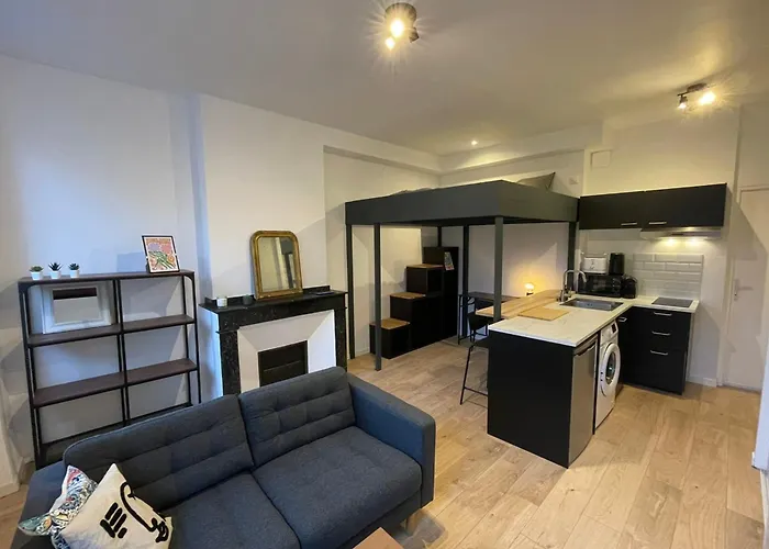 Apartment Charming T1 In The Heart Of Toulouse